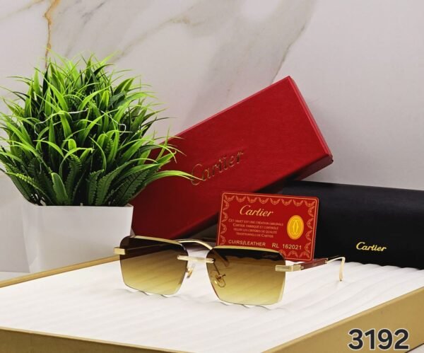 Sunglasses Stylish